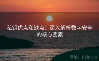 私钥优点和缺点：深入解析数字安全的核心要素