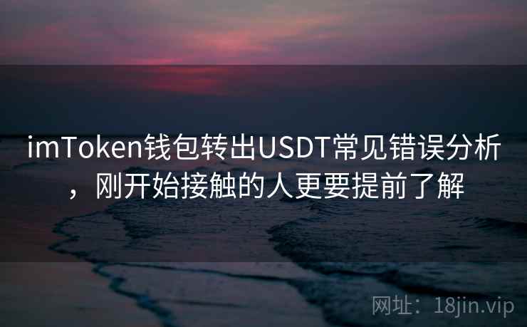 imToken钱包转出USDT常见错误分析，刚开始接触的人更要提前了解
